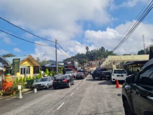 Cameron Highland Tour